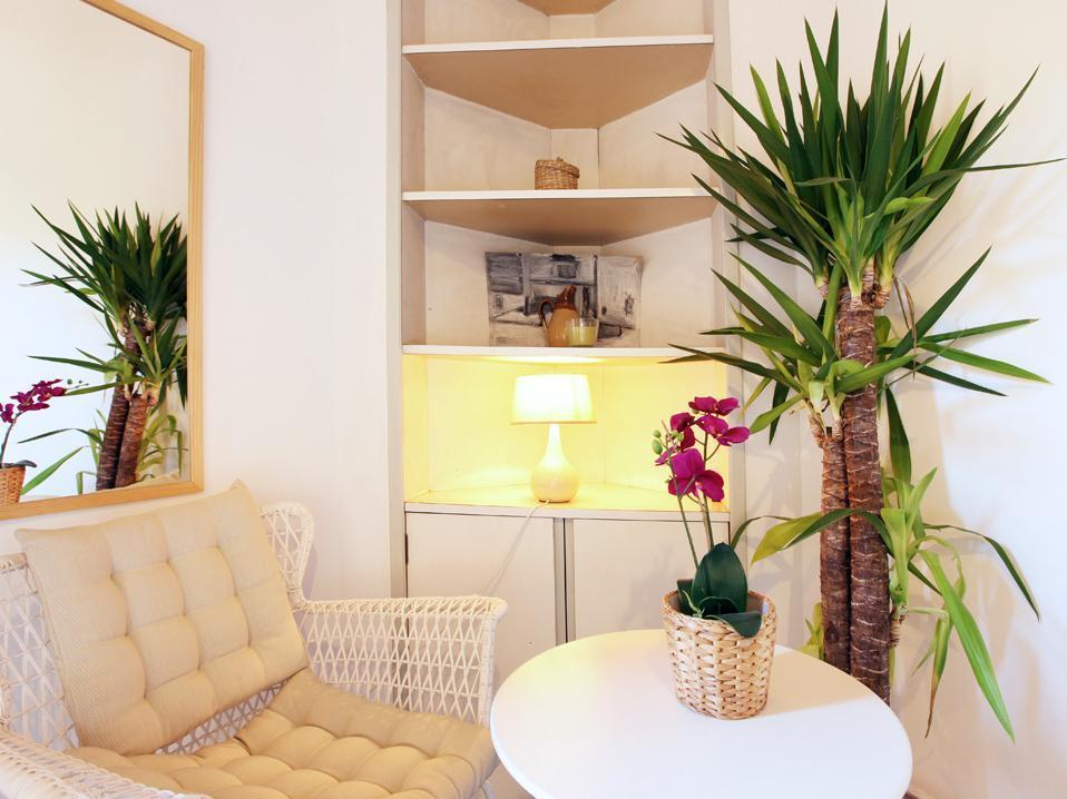 Primavera Hostel Barcelona